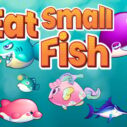 Eat Small Fish 5 eat small fish 1