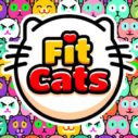 Fit Cats 3 fit cats 1